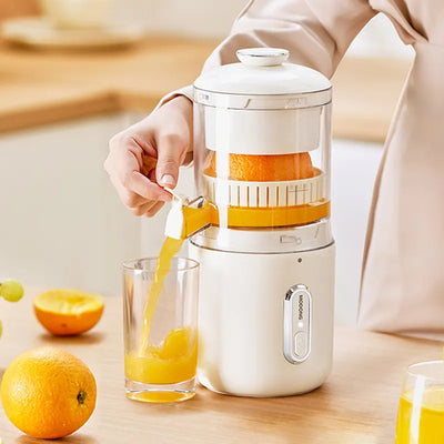 Mini Fruit Squeezer Pressure Juicer